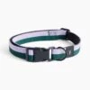 Hay Dog Collar Flat Green/Lavender