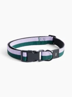 Hay Dog Collar Flat Green/Lavender