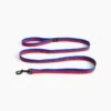 Hay Flat Leash Blue/Red